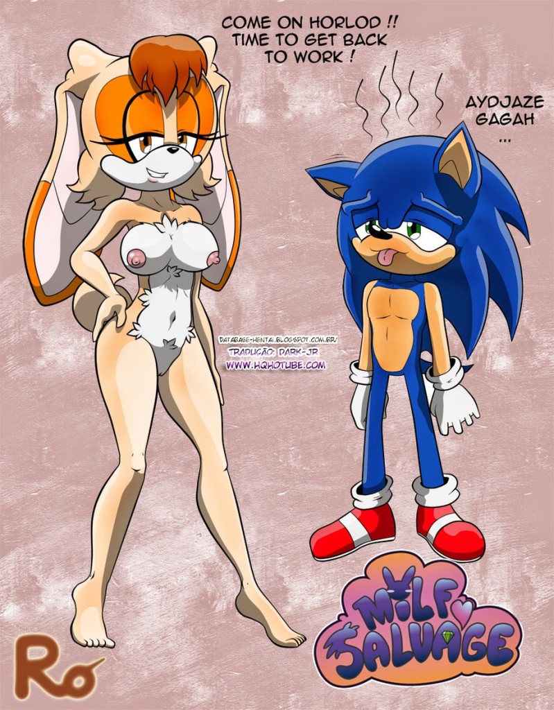 Sonic Milf Savage  (13)